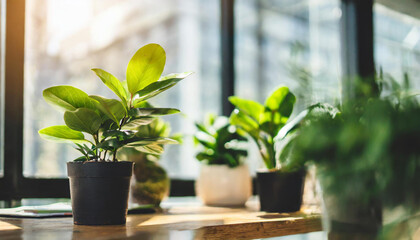 Modern office space with lush green plants in pots. Innovative startup company with green, ecofriendly environment with lush vegetation in workplace - obrazy, fototapety, plakaty
