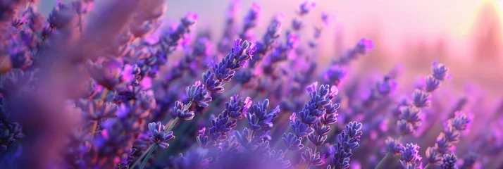 Rolgordijnen Lavender field © Guizal