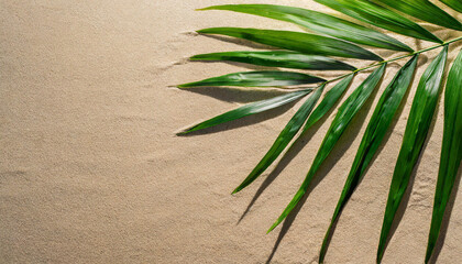 Top view of green tropical leaves and shadow on sand color background. Flat lay. Minimal summer concept with palm tree leaf. Creative copyspace.