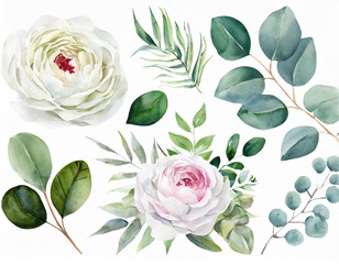 Watercolour floral illustration set. White flowers, green leaves individual elements collection. Rose, peony, eucalyptus. For bouquets, wreaths, wedding invitations, anniversary, birthday - obrazy, fototapety, plakaty