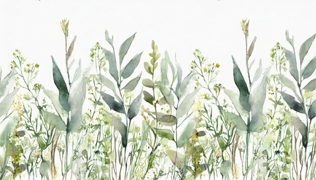 Wild field herbs plants. Watercolor seamless border - illustration with green leaves and branches. Wedding stationery, greetings, wallpapers, fashion, backgrounds, textures. Wildflowers