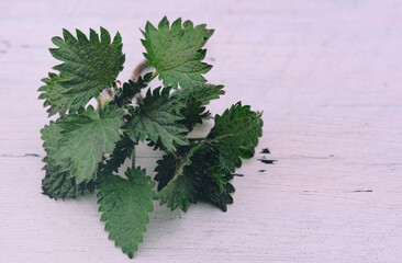 fresh nettle leaves on wooden surface
