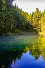 dark transparent forest lake, reflection, mythical forest creatures live here