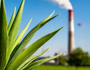 Decarbonization, featuring a vibrant green plant in the foreground with a CO2-emitting industrial chimney in the background, symbolizing the balance between industry and environmental sustainability.