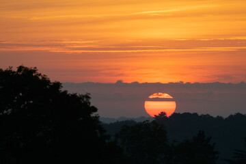Lever du soleil avec un cercle solaire orange qui se détache nettement au-dessus des arbres