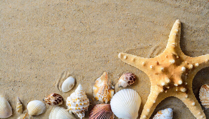 Fototapeta na wymiar summer beach background with starfish and seashells on sand surface