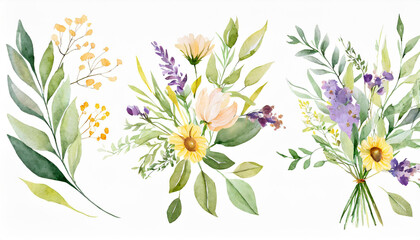 watercolor arrangements with flowers, set, bundle, bouquets with wildflowers, leaves, branches. Botanical illustration