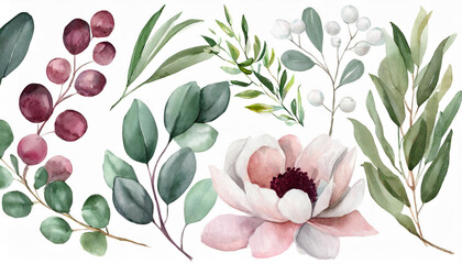 Watercolor floral illustration individual elements set - green leaves, burgundy pink peach blush...