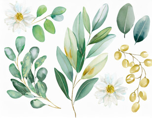 Watercolor floral illustration set - white flowers, green gold leaf branches collection, for wedding stationary, greetings, wallpapers, fashion, background. Eucalyptus, olive, leaves, chamomile