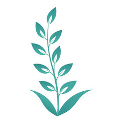 flower wreath flower leaf branch ornament floral divider 