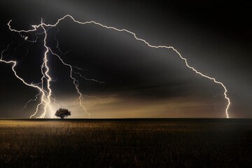 Lightning on a field of wheat.