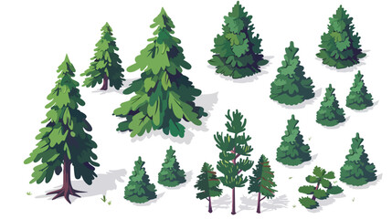 Isometric pine tree design Flat vector isolated on white