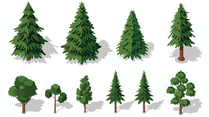 Isometric pine tree design Flat vector isolated on white - obrazy, fototapety, plakaty