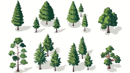 Isometric pine tree design Flat vector isolated on white