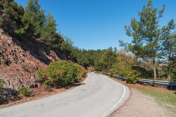 Landscape with an asphalt mountain road between green bushes and pine trees