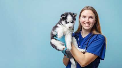 Veterinarian holding a Siberian Husky puppy against a light blue background
