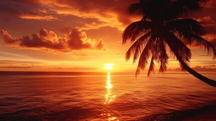 A vibrant orange sunset illuminates palm trees on a tropical beach.