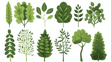 Tree Shape Different Vector Green Eco Nature Plant Br