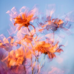 Vibrant Orange Flowers Blooming in a Field Under a Clear Blue Sky, Abstract Nature Background