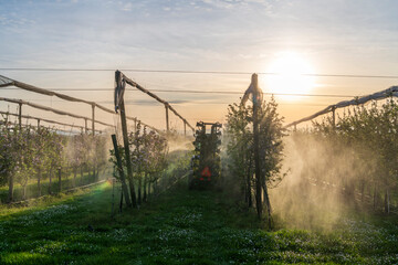 Obraz premium Tractor with crop protection