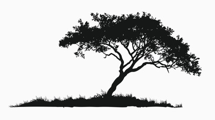 Vector silhouette of a tree. Isolated Doodle sketch o