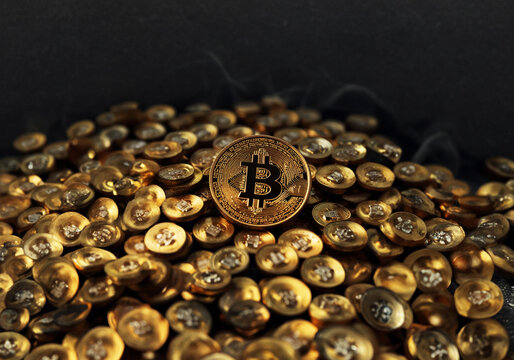 A fortune in Bitcoin awaits the wise investor.