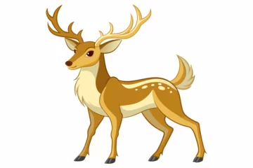 Fototapeten deer vector illustration  © Jutish