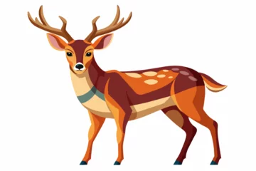  deer vector illustration  © Jutish