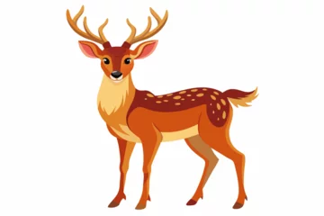 Fotobehang deer vector illustration  © Jutish