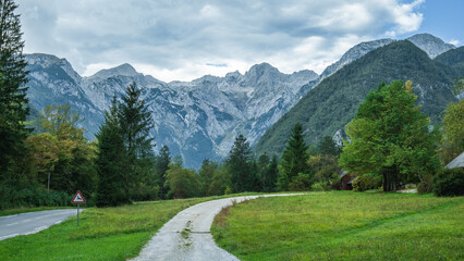 Path and Road, Meadow and Forest, Julian Alps in the Background, Slovenia - 778165476