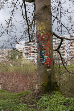 Graffiti an einem Baum in Zwickau