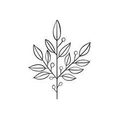 Botanical linear leaf. Abstract minimalist leaves collection, creative herbal art. Vector illustration