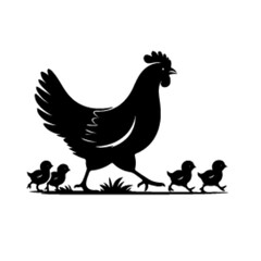 minimalist A hen with her chick leading her chicks across the yard vector black color silhouette, Black color silhouette-05