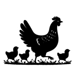 minimalist A hen with her chick leading her chicks across the yard vector black color silhouette, Black color silhouette-20