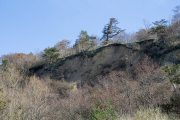 sandy cliff on the seashore