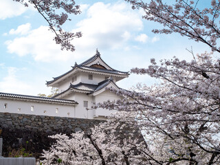 Fototapeta premium 桜と城