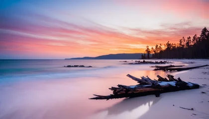 Zelfklevend Fotobehang Vivid Sunset Beach Scene: Tranquil Seascape & Silhouetted Dead Trees © Evgen