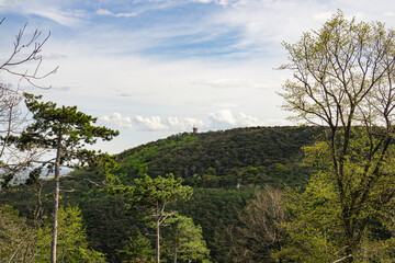 Fototapeta na wymiar Distant view to Harzberg Tower in Vienna Woods in Bad Vöslau in spring