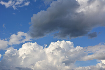 white and gray cumulus clouds in the sky before rain  