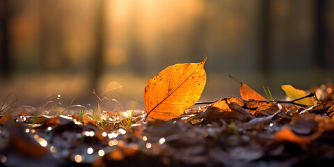Lucky tips against the autumn blues сreated with Generative Ai
