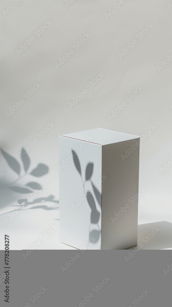 Poster minimalistic white box with leaf shadows in soft daylight creating an elegant and serene setting.