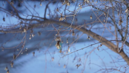Beautiful scene