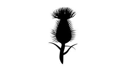 thistle emblem, black isolated silhouette