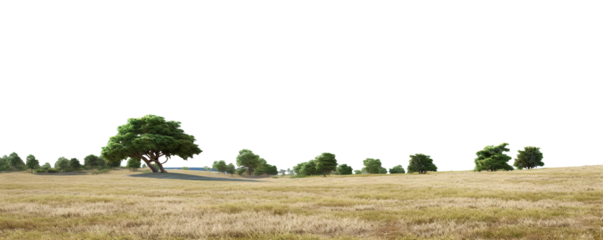 Summer grassy field with trees, cut out