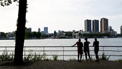 Contemplating the Nieuwe Maas in Rotterdam, Netherlands
