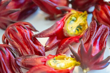 Flowers of Hibiscus sabdariffa, known as vinegar tree