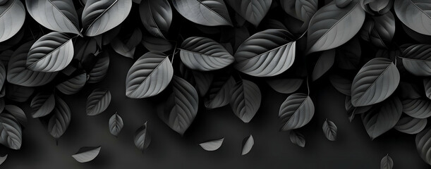 Abstract black leaves texture dark nature background.