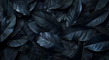 Top View Abstract Black Leaves Texture: Dark Nature Background
