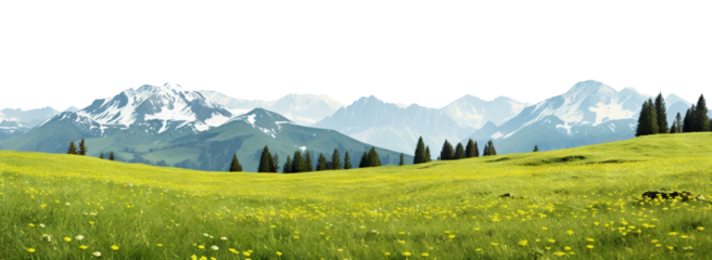Serene alpine meadow with sprawling green grass and majestic snow-capped mountains in the distance, cut out