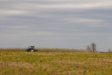 A blue tractor in a field